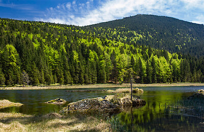 Wander in der Arberregion Bayern